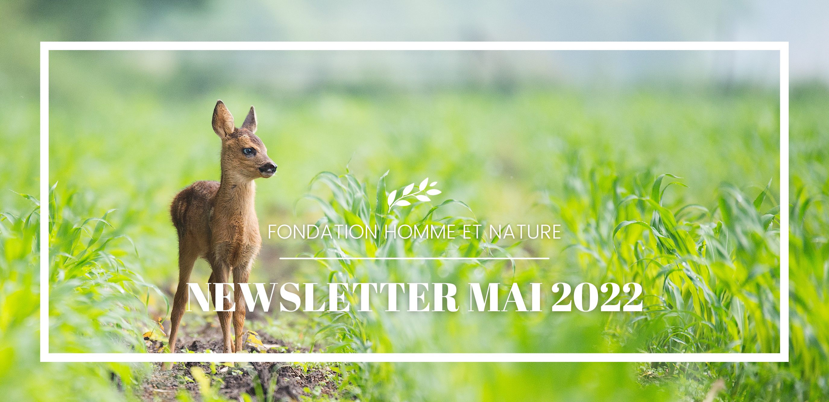 newsletter fondation homme et nature mai 2022