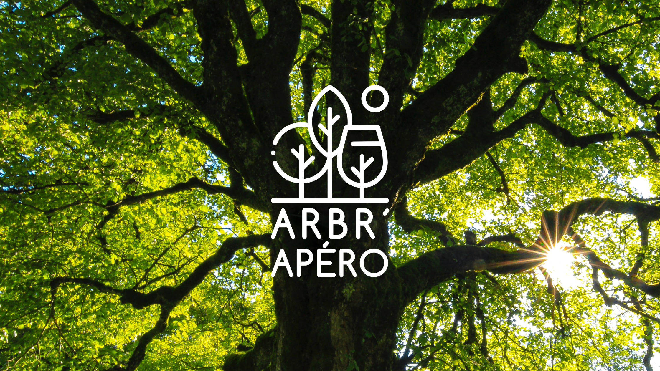 L’Arbr’Apéro : À la découverte des arbres les plus fascinants de Lausanne 