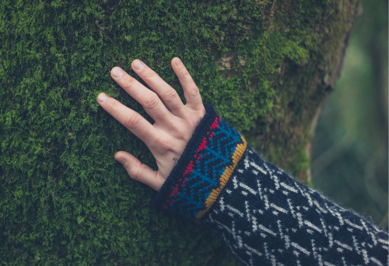 Bain de forêt dans les bois du Jorat