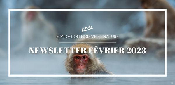 newsletter octobre 2022 fondation homme et nature
