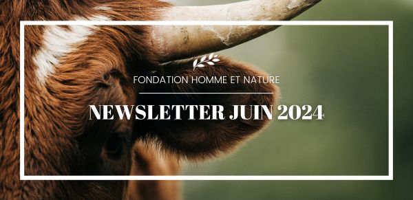 newsletter fondation homme et Nature juin 2024